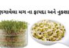 ફણગાવેલા મગ ના ફાયદા - Fangavela mag benefits in Gujarati - fangavela mag na fayda - મગ ફણગાવવાની રીત