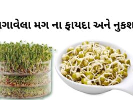 ફણગાવેલા મગ ના ફાયદા - Fangavela mag benefits in Gujarati - fangavela mag na fayda - મગ ફણગાવવાની રીત