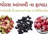 ગોરસ આંબલી ના ફાયદા - Goras ambli na fayda - મીઠી આંબલી ના ફાયદા