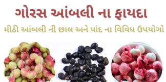 ગોરસ આંબલી ના ફાયદા - Goras ambli na fayda - મીઠી આંબલી ના ફાયદા