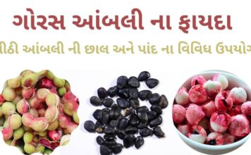 ગોરસ આંબલી ના ફાયદા - Goras ambli na fayda - મીઠી આંબલી ના ફાયદા