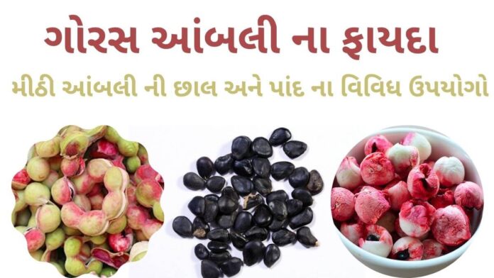 ગોરસ આંબલી ના ફાયદા - Goras ambli na fayda - મીઠી આંબલી ના ફાયદા