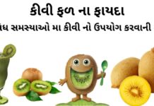 કીવી ફળ ના ફાયદા - કીવી ખાવાના ફાયદા - કીવી ના ફાયદા - kiwi khavana fayda - kiwi na fayda - kiwi fruit na fayda Gujarati