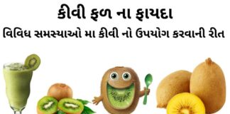 કીવી ફળ ના ફાયદા - કીવી ખાવાના ફાયદા - કીવી ના ફાયદા - kiwi khavana fayda - kiwi na fayda - kiwi fruit na fayda Gujarati