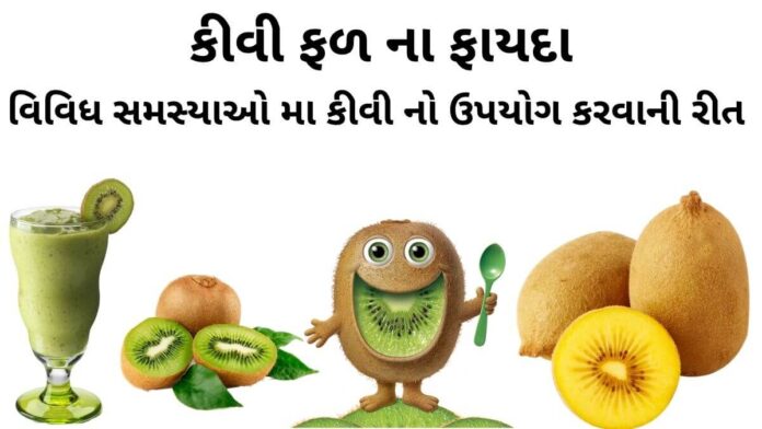 કીવી ફળ ના ફાયદા - કીવી ખાવાના ફાયદા - કીવી ના ફાયદા - kiwi khavana fayda - kiwi na fayda - kiwi fruit na fayda Gujarati