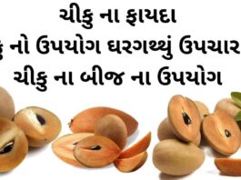 ચીકુ ના ફાયદા - ચીકુ નો ઉપયોગ ઘરગથ્થું ઉપચાર મા - ચીકુ ના બીજ ના ઉપયોગ - chiku na fayda - sapodilla benefits in Gujarati