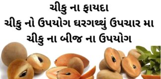 ચીકુ ના ફાયદા - ચીકુ નો ઉપયોગ ઘરગથ્થું ઉપચાર મા - ચીકુ ના બીજ ના ઉપયોગ - chiku na fayda - sapodilla benefits in Gujarati