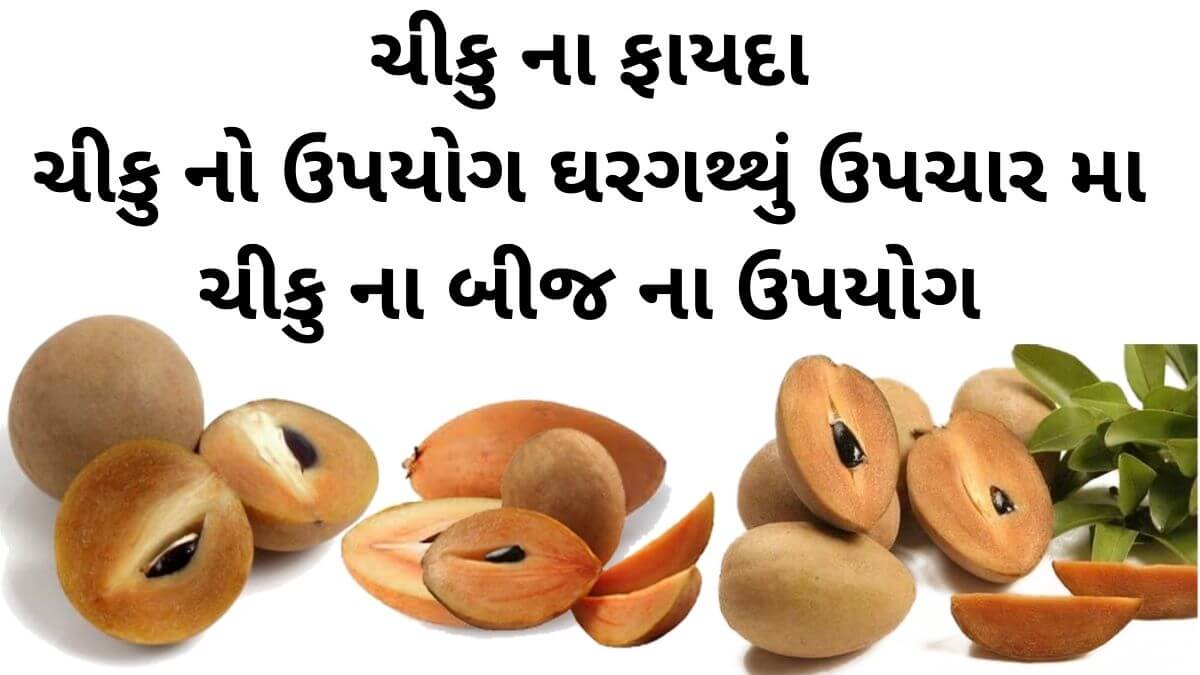 ચીકુ ના ફાયદા - ચીકુ નો ઉપયોગ ઘરગથ્થું ઉપચાર મા - ચીકુ ના બીજ ના ઉપયોગ - chiku na fayda - sapodilla benefits in Gujarati