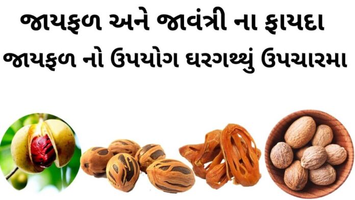 જાયફળ ના ફાયદા - જાયફળ ખાવાના ફાયદા - જાયફળ અને જાવંત્રી ના ફાયદા - જાયફળ નો ઉપયોગ - jayfal na fayda - Health benefits of nutmeg in Gujarati