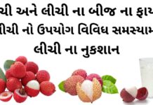 litchi na fayda in gujarati - લીચી ના બીજ ના ફાયદા - લીચી ના ફાયદા - લીચી ના નુકશાન - લીચી નો ઉપયોગ