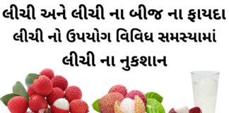 litchi na fayda in gujarati - લીચી ના બીજ ના ફાયદા - લીચી ના ફાયદા - લીચી ના નુકશાન - લીચી નો ઉપયોગ