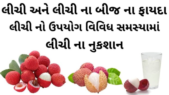 litchi na fayda in gujarati - લીચી ના બીજ ના ફાયદા - લીચી ના ફાયદા - લીચી ના નુકશાન - લીચી નો ઉપયોગ