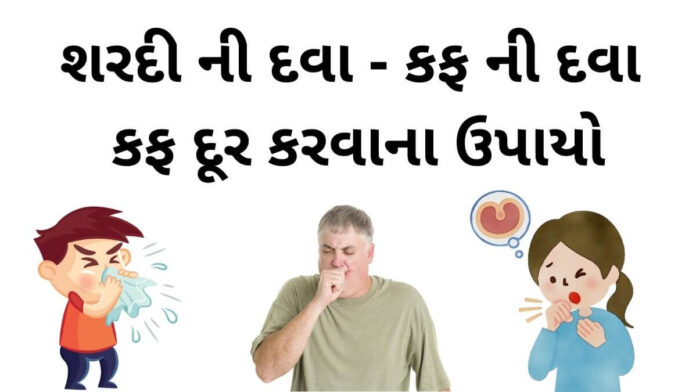 શરદી ની દવા - કફ ની દવા - કફ દૂર કરવાના ઉપાયો - sardi ni ayurvedic dawa - sardi ni dava