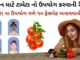 ટામેટા ના ઉપયોગ વળે ૧૦ ફેસપેક બનાવવાની રીત | સ્કિન માટે ટામેટા નો ઉપયોગ સ્કિન માટે ટામેટા નો ઉપયોગ કરવાની રીત - ટામેટા નો ફેસપેક - સ્કીન કેર ટિપ્સ - ફેસપેક બનાવવાની રીત