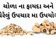 ચોળા ના ફાયદા અને ઘેરેલું ઉપચાર મા ઉપયોગ | BLACK EYED PEA Benefits ચોળા ના ફાયદા અને ઘેરેલું ઉપચાર - ચોળા ખાવાના ફાયદા - BLACK EYED PEA Benefits in Gujarati – COWPEA Benefits in Gujarati