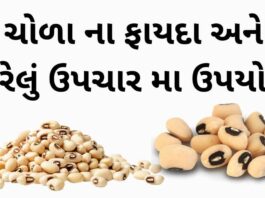 ચોળા ના ફાયદા અને ઘેરેલું ઉપચાર - ચોળા ખાવાના ફાયદા - BLACK EYED PEA Benefits in Gujarati – COWPEA Benefits in Gujarati