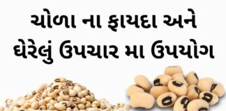 ચોળા ના ફાયદા અને ઘેરેલું ઉપચાર - ચોળા ખાવાના ફાયદા - BLACK EYED PEA Benefits in Gujarati – COWPEA Benefits in Gujarati