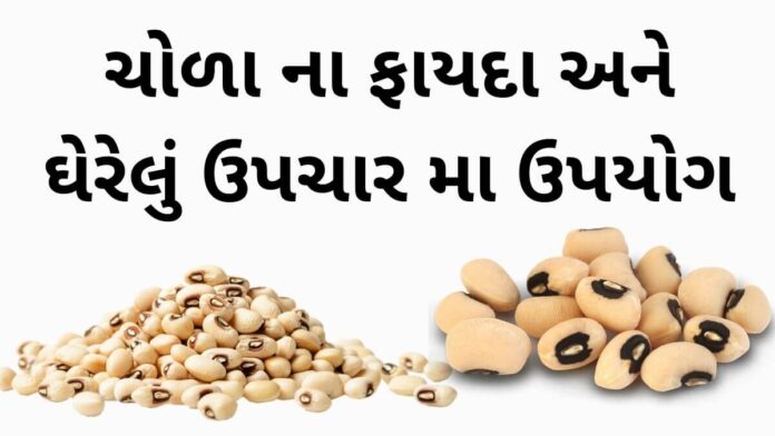 ચોળા ના ફાયદા અને ઘેરેલું ઉપચાર - ચોળા ખાવાના ફાયદા - BLACK EYED PEA Benefits in Gujarati – COWPEA Benefits in Gujarati