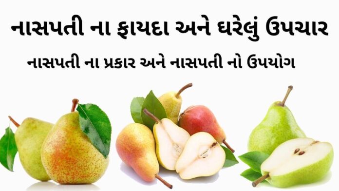 Naspati na fayda નાસપતી ના ફાયદા - નાસપતી ના ઘરેલું ઉપચાર - નાસપતી ના જ્યુસ ના ફાયદા - naspati na fayda in gujarati - Pear fruit benefits in Gujarati