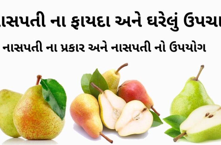 નાસપતી ના ફાયદા - નાસપતી ના ઘરેલું ઉપચાર - નાસપતી ના જ્યુસ ના ફાયદા - naspati na fayda in gujarati - Pear fruit benefits in Gujarati