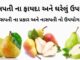 નાસપતી ના ફાયદા - નાસપતી ના ઘરેલું ઉપચાર - નાસપતી ના જ્યુસ ના ફાયદા - naspati na fayda in gujarati - Pear fruit benefits in Gujarati