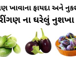 રીંગણ ખાવાના ફાયદા - રીંગણ ના ફાયદા - રીંગણ ના નુકશાન - ringan na fayda - brinjal benefits in Gujarati
