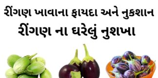 રીંગણ ખાવાના ફાયદા - રીંગણ ના ફાયદા - રીંગણ ના નુકશાન - ringan na fayda - brinjal benefits in Gujarati