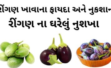 રીંગણ ખાવાના ફાયદા અને નુકશાન | Ringan na fayda | brinjal benefits રીંગણ ખાવાના ફાયદા - રીંગણ ના ફાયદા - રીંગણ ના નુકશાન - ringan na fayda - brinjal benefits in Gujarati