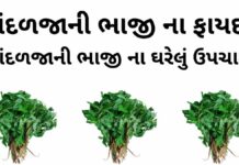 તાંદળજાની ભાજી ના ફાયદા - તાંદળજાની ભાજી ના ઘરેલું ઉપચાર - Tandalja ni bhaji na fayda - tandalja ni bhaji benefits in Gujarati