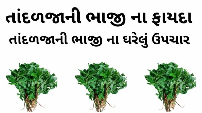 તાંદળજાની ભાજી ના ફાયદા - તાંદળજાની ભાજી ના ઘરેલું ઉપચાર - Tandalja ni bhaji na fayda - tandalja ni bhaji benefits in Gujarati