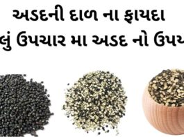અડદની દાળ ના ફાયદા - adad ni dal na fayda - Vigna mungo benefits in Gujarati