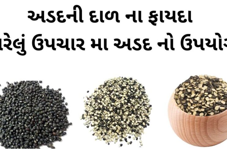 અડદની દાળ ના ફાયદા - adad ni dal na fayda - Vigna mungo benefits in Gujarati