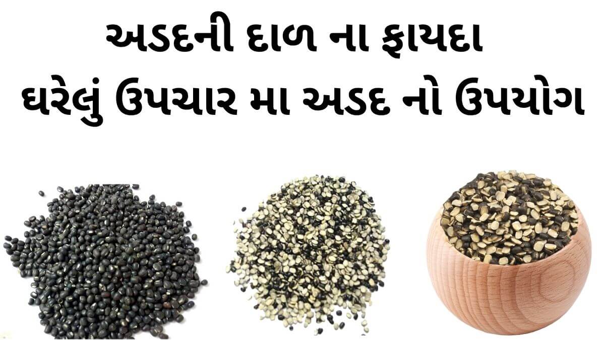 અડદની દાળ ના ફાયદા - adad ni dal na fayda - Vigna mungo benefits in Gujarati