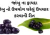 જાંબુ ના ફાયદા - જાંબુ ખાવાના ફાયદા - jambu na fayda - jamun benefits in gujarati