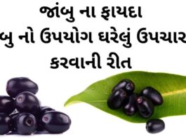 જાંબુ ના ફાયદા - જાંબુ ખાવાના ફાયદા - jambu na fayda - jamun benefits in gujarati