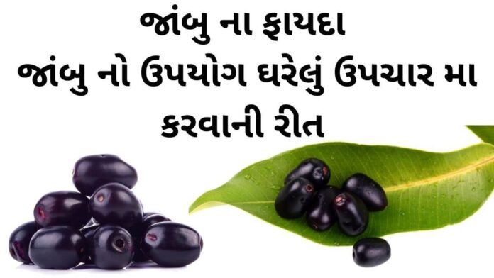 જાંબુ ના ફાયદા - જાંબુ ખાવાના ફાયદા - jambu na fayda - jamun benefits in gujarati