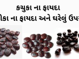 કચુકા ના ફાયદા - કચીકા ના ફાયદા - Aambli na kachuka na fayda - kachika na fayda in Gujarati