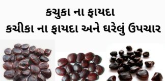કચુકા ના ફાયદા - કચીકા ના ફાયદા - Aambli na kachuka na fayda - kachika na fayda in Gujarati