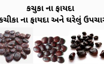 કચુકા ના ફાયદા | કચીકા ના ફાયદા અને ઘરેલું ઉપચાર | Kachuka na fayda કચુકા ના ફાયદા - કચીકા ના ફાયદા - Aambli na kachuka na fayda - kachika na fayda in Gujarati