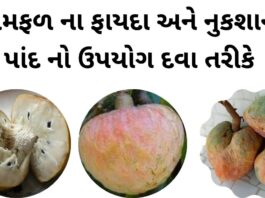 રામફળ ના ફાયદા - રામફળ ના નુકશાન - ramfal na fayda in Gujarati