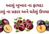 આલુ બુખાર ના ફાયદા - આલુ ના ફાયદા - aalu bukhara na fayda in Gujarati - plum benefits in Gujarati