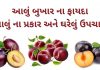 આલુ બુખાર ના ફાયદા તેના પ્રકાર અને ઘરેલું ઉપચાર | Aalu bukhara na fayda આલુ બુખાર ના ફાયદા - આલુ ના ફાયદા - aalu bukhara na fayda in Gujarati - plum benefits in Gujarati