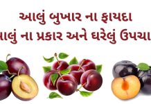 આલુ બુખાર ના ફાયદા તેના પ્રકાર અને ઘરેલું ઉપચાર | Aalu bukhara na fayda આલુ બુખાર ના ફાયદા - આલુ ના ફાયદા - aalu bukhara na fayda in Gujarati - plum benefits in Gujarati