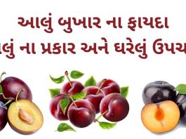 આલુ બુખાર ના ફાયદા - આલુ ના ફાયદા - aalu bukhara na fayda in Gujarati - plum benefits in Gujarati