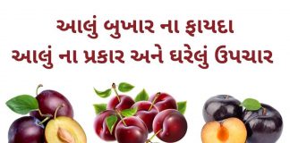 આલુ બુખાર ના ફાયદા - આલુ ના ફાયદા - aalu bukhara na fayda in Gujarati - plum benefits in Gujarati