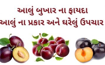 આલુ બુખાર ના ફાયદા તેના પ્રકાર અને ઘરેલું ઉપચાર | Aalu bukhara na fayda આલુ બુખાર ના ફાયદા - આલુ ના ફાયદા - aalu bukhara na fayda in Gujarati - plum benefits in Gujarati