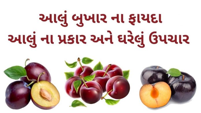 આલુ બુખાર ના ફાયદા - આલુ ના ફાયદા - aalu bukhara na fayda in Gujarati - plum benefits in Gujarati