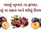 આલુ બુખાર ના ફાયદા તેના પ્રકાર અને ઘરેલું ઉપચાર | Aalu bukhara na fayda આલુ બુખાર ના ફાયદા - આલુ ના ફાયદા - aalu bukhara na fayda in Gujarati - plum benefits in Gujarati