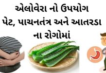 એલોવેરા નો ઉપયોગ પેટ, પાચનતંત્ર અને આતરડા ના રોગોમાં