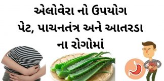 એલોવેરા નો ઉપયોગ પેટ, પાચનતંત્ર અને આતરડા ના રોગોમાં કરવાની રીત એલોવેરા નો ઉપયોગ પેટ, પાચનતંત્ર અને આતરડા ના રોગોમાં